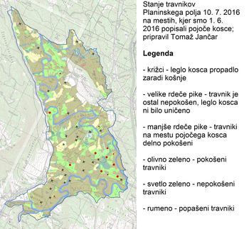 Koscu na Planinskem polju se ne piše dobro Koscu na Planinskem polju se ne piše dobro