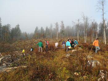 Akcija pogozdovanja v Logatcu - Pomladimo gozdove 2019