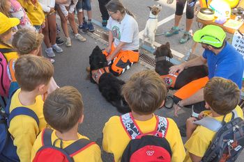 Dan brez avtomobila v Logatcu 2019 - GREMO PEŠ!