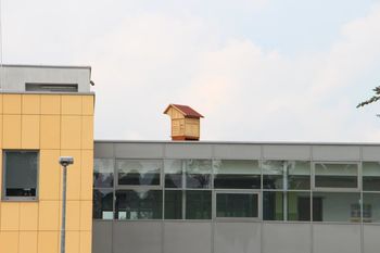 In beseda je čebelnjak postala - Čebelnjak na strehi Upravnega centra Logatec