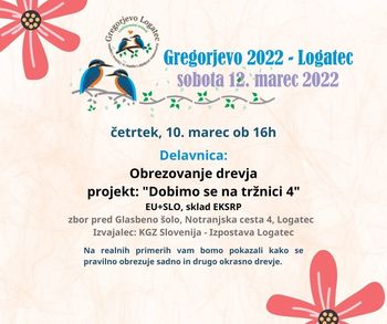 Delavnica: Obrezovanje drevja, projekt: "Dobimo se na tržnici 4"