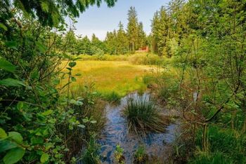 Pot pod noge na Jezerc