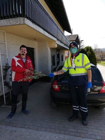 Logaški skavti z oljčnimi vejicami v praznični čas Logaški skavti z oljčnimi vejicami v praznični čas