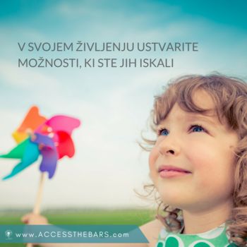 Access BARS delavnica-certificirana