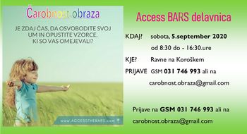 Access Bars delavnica * Ravne na Kor.