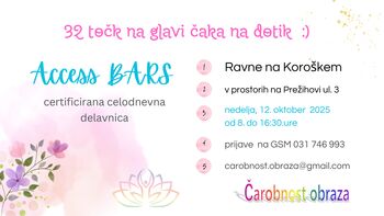 Access BARS celodnevna delavnica * Ravne na Kor.