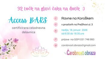 Access BARS celodnevna delavnica * Ravne na Kor.
