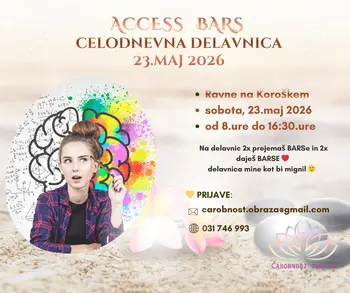 Access BARS celodnevna delavnica * Ravne na Kor.