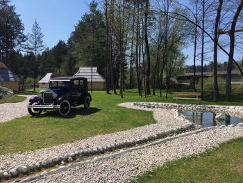 Evropsko srečanje starodobnikov v Eko resortu pod Veliko planino