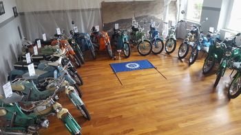 Tomosi na Nizozemsko