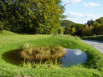 Poziv dedičem za ureditev dedovanja