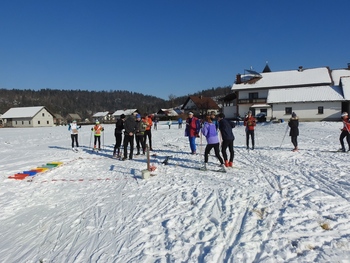 Državno prvenstvo v ski orientaciji