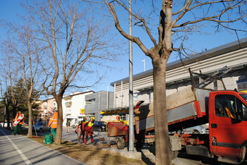 Varnejši prehodi za pešce