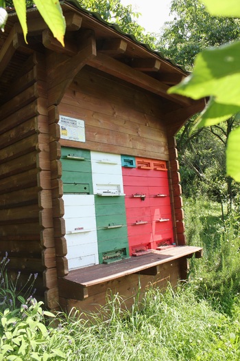 Priznanja zaslužnim čebelarjem Priznanja zaslužnim čebelarjem