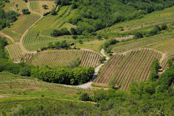 Vipavska dolina s srebrnim znakom