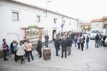 Druženje s pinelo na Planini