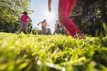 Priprave na 6. Triglav tek