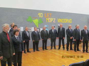 10 let Vinograda iz Vrtovina