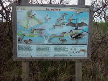 Evropski projekt VIPava s svojo spletno stranjo Evropski projekt VIPava s svojo spletno stranjo