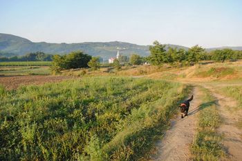 Priprave na veliko komunalno prenovo v Dobravljah
