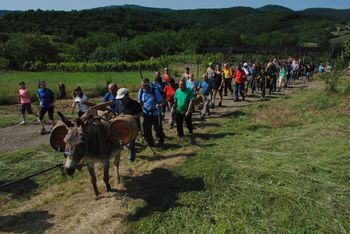 Ta konec tedna vabijo med šmarenske griče Ta konec tedna vabijo med šmarenske griče