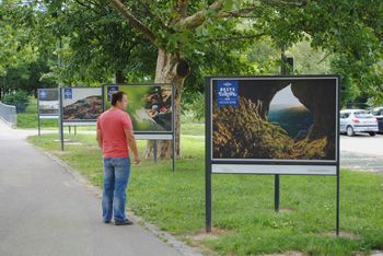 Lepote Vipavske doline na panojih Lepote Vipavske doline na panojih