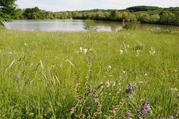 CROSSIT SAFER  in GREVISLIN – dva nova strateška projekta za Občino Ajdovščina