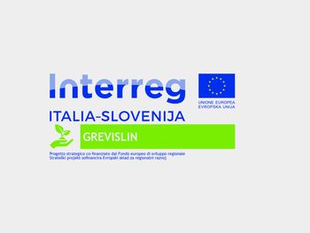 Prvo delavno srečanje projekta GREVISLIN