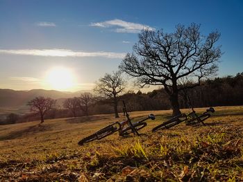 Februar v superlativih