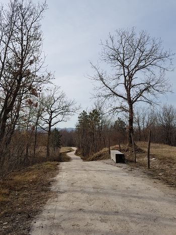 Urejanje rekreacijske poti proti Lokavcu