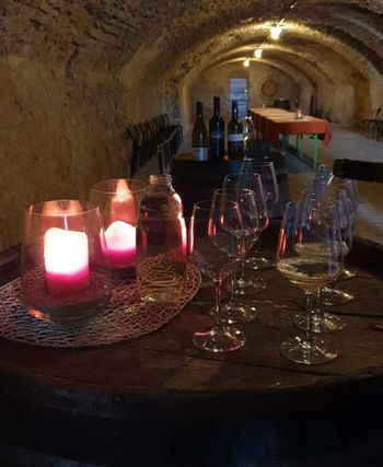 V Vipavski dolini gostili novinarje in blogerje iz Italije