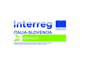 Strateški projekt GREVISLIN v polnem teku