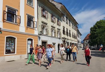 Obujanje mlinarske in pekarske obrti na Ajdovskem