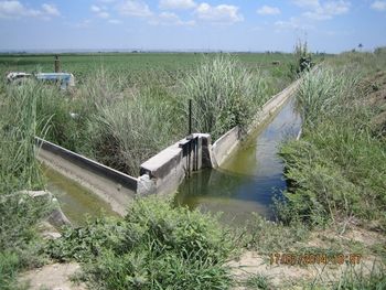 Strategije namakanja