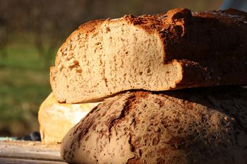 Od štiristo mlinov do promocijskega filma