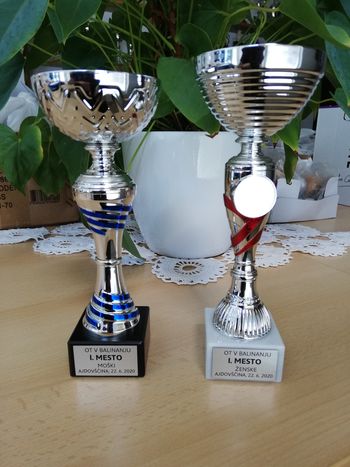 Športni dosežki Društva invalidov Ajdovščina – Vipava