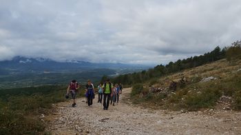 PD Ajdovščina in nov praznik - dan športa