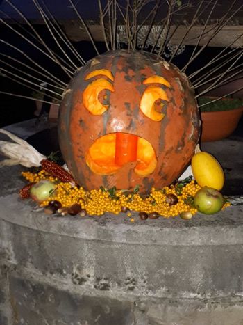 Bučne ustvarjalnice po goških domovih Bučne ustvarjalnice po goških domovih