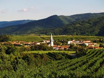 Zahvala Zdravstvenemu domu Ajdovščina Zahvala Zdravstvenemu domu Ajdovščina