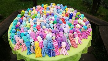 Projekt hobotnica v Vipavski dolini