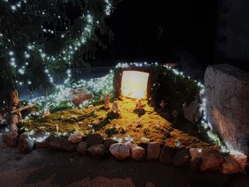 Lozice v objemu božiča