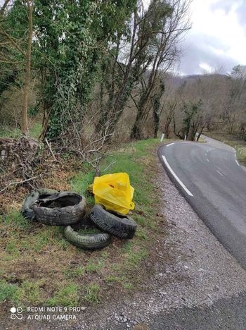 Čistilna akcija na Gočah