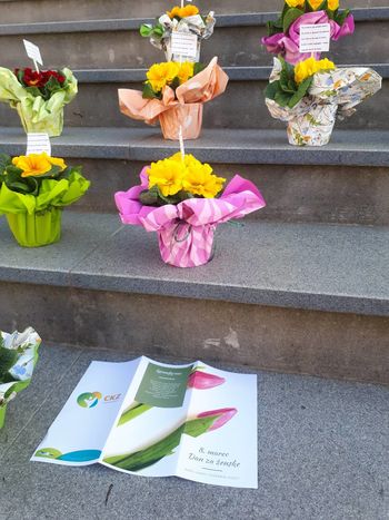 Biti ženska v času korone