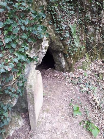 Gočani opravili velikonočno-spomladanski izziv