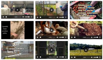 Medgeneracijske vezi Krasa in Brkinov na OŠ Col