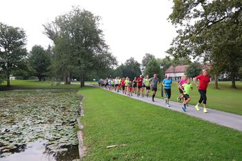 Brezplačne tekaške vadbe v Ajdovščini