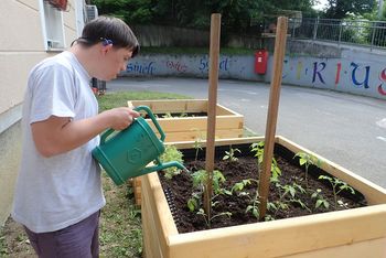 Program dodatnega usposabljanja v CIRIUS Vipava