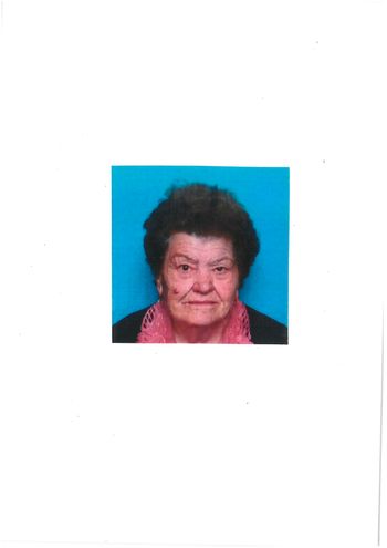 Ani Žvokelj v slovo