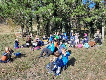 Krompirjeve počitnice v živo …