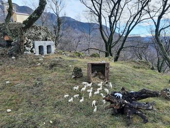 Jaslice na Školju sv. Pavla nad Vrtovinom